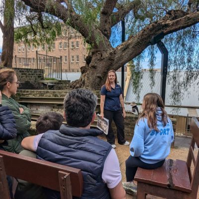 Tour Guide Bec - Sydney's Convict Colony Tour in The Rocks (9) Tour Guide Bec - Sydney's Convict Colony Tour in The Rocks (9)